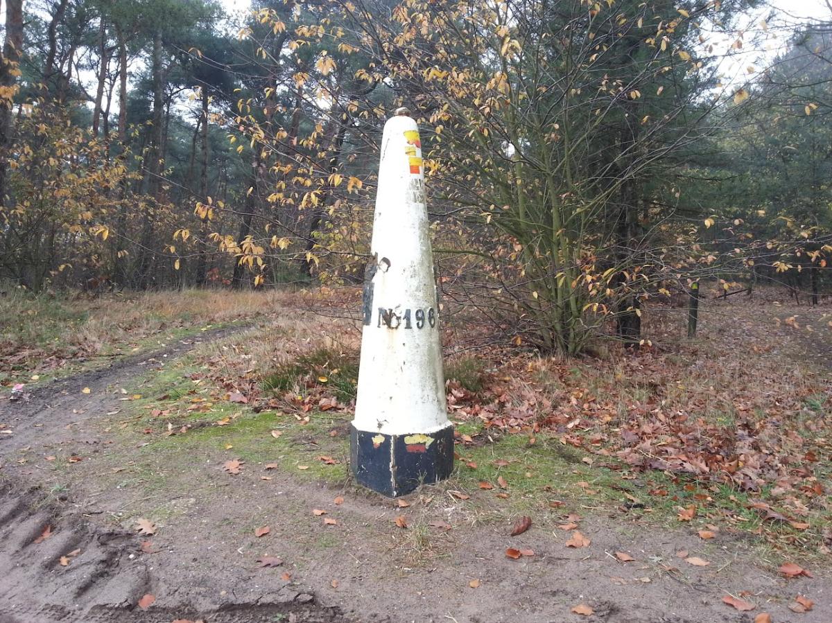 196 nr